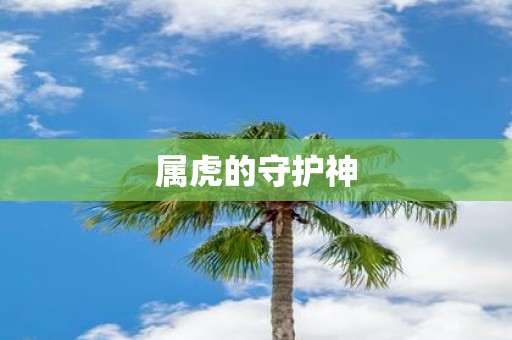 属虎的守护神