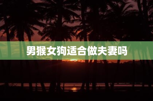 男猴女狗适合做夫妻吗