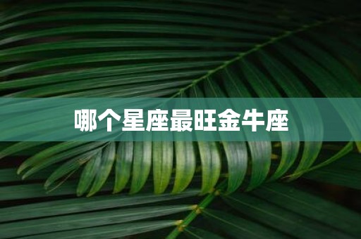 哪个星座最旺金牛座