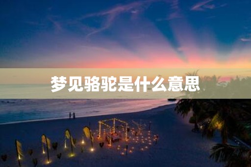 梦见骆驼是什么意思