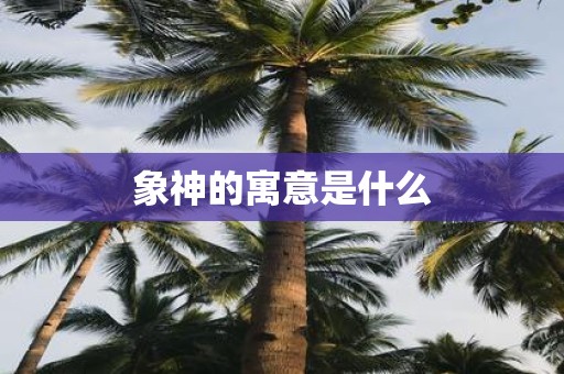 象神的寓意是什么