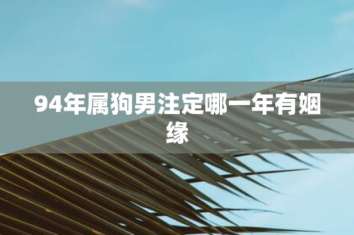 94年属狗男注定哪一年有姻缘