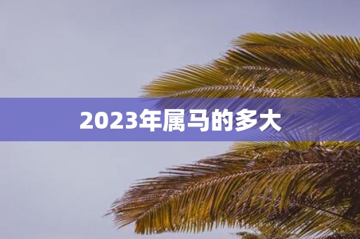 2025年属马的多大