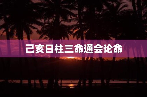 己亥日柱三命通会论命