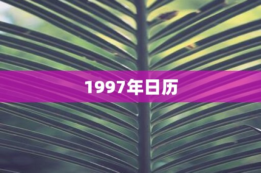 1997年日历