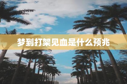 梦到打架见血是什么预兆