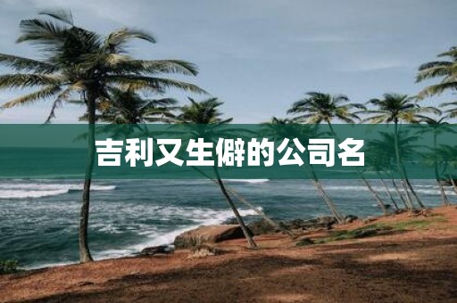 吉利又生僻的公司名