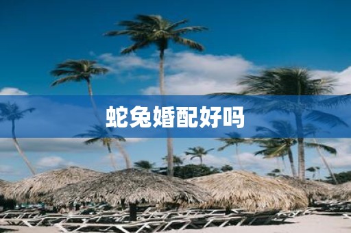 蛇兔婚配好吗