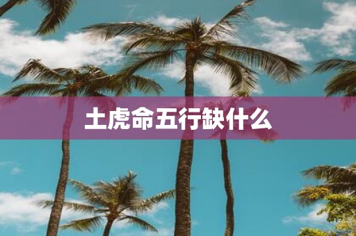 土虎命五行缺什么