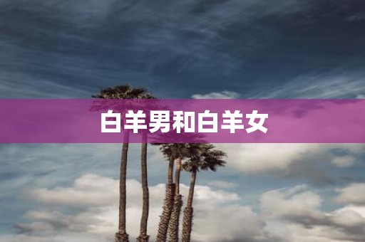 白羊男和白羊女