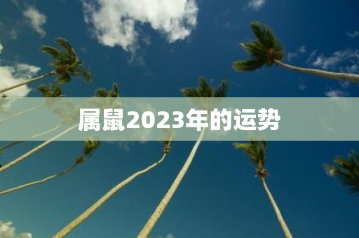 属鼠2023年的运势