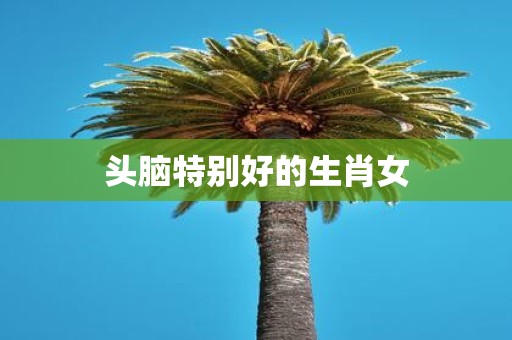 头脑特别好的生肖女