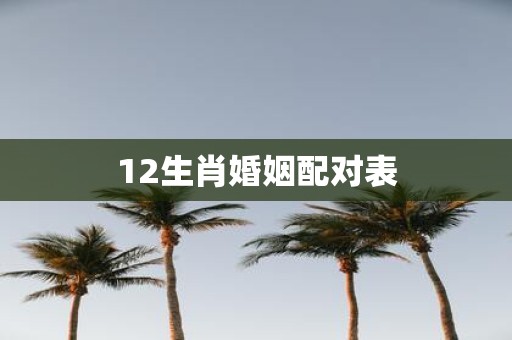 12生肖婚姻配对表