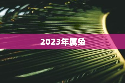 2023年属兔