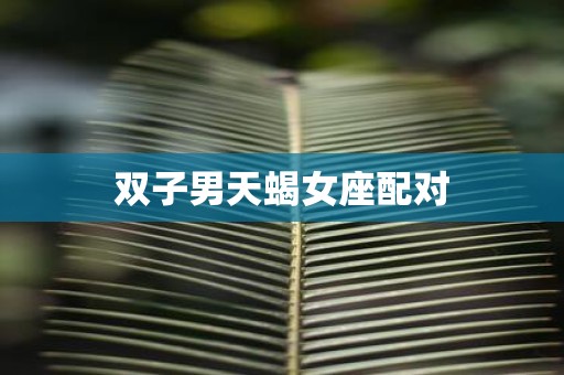 双子男天蝎女座配对