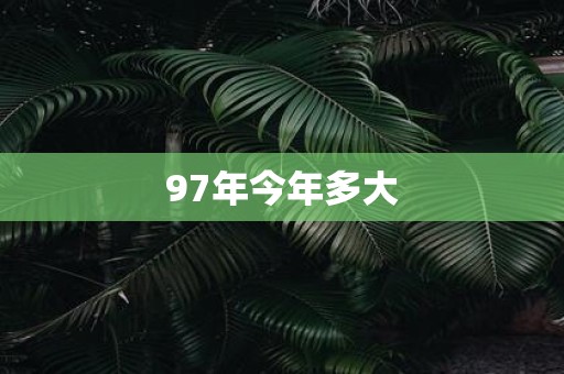 97年今年多大