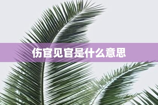 伤官见官是什么意思