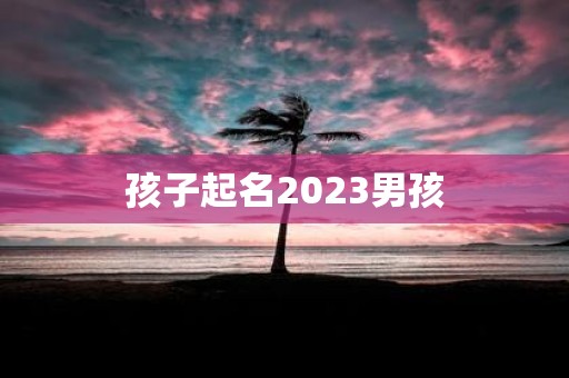 孩子起名2023男孩