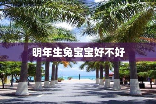 明年生兔宝宝好不好
