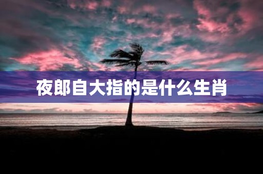 夜郎自大指的是什么生肖