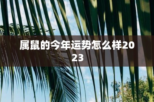 属鼠的今年运势怎么样2023