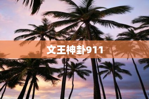 文王神卦911