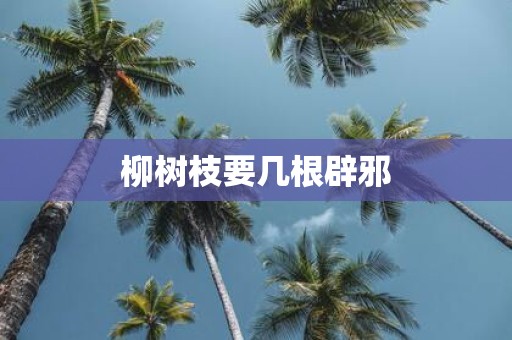 柳树枝要几根辟邪