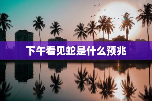 下午看见蛇是什么预兆