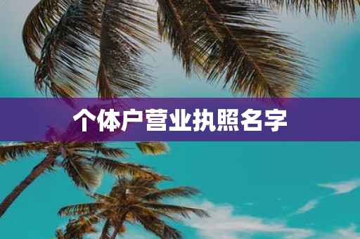 个体户营业执照名字