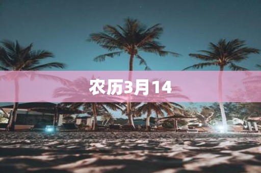 农历3月14