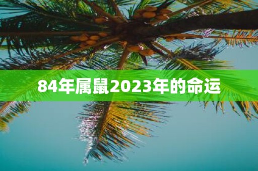 84年属鼠2023年的命运