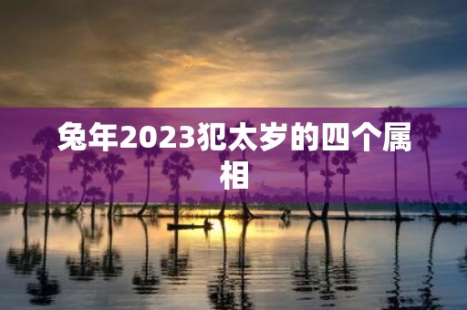 兔年2023犯太岁的四个属相