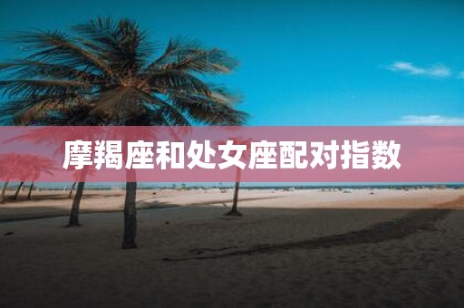 摩羯座和处女座配对指数