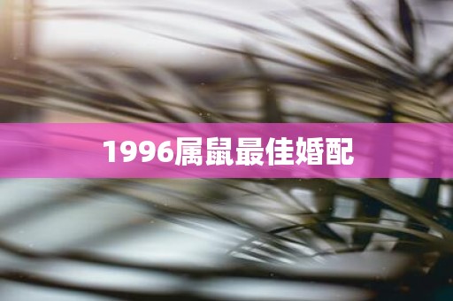 1996属鼠最佳婚配