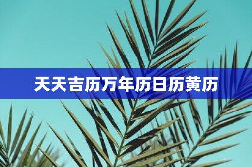 天天吉历万年历日历黄历