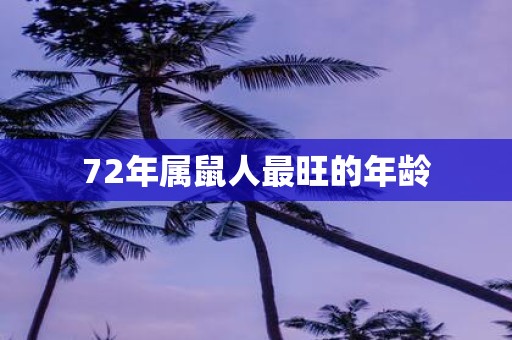 72年属鼠人最旺的年龄