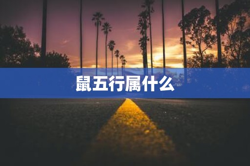 鼠五行属什么