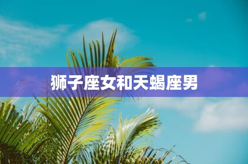 狮子座女和天蝎座男