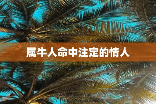 属牛人命中注定的情人
