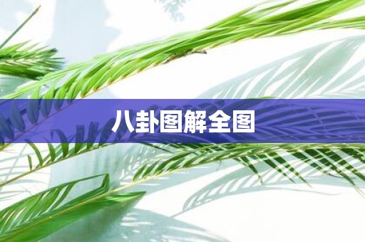 八卦图解全图