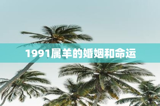 1991属羊的婚姻和命运