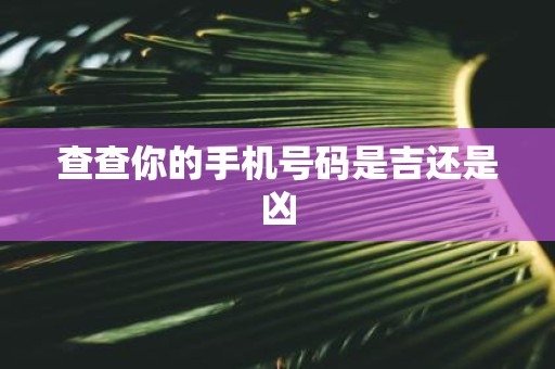 查查你的手机号码是吉还是凶