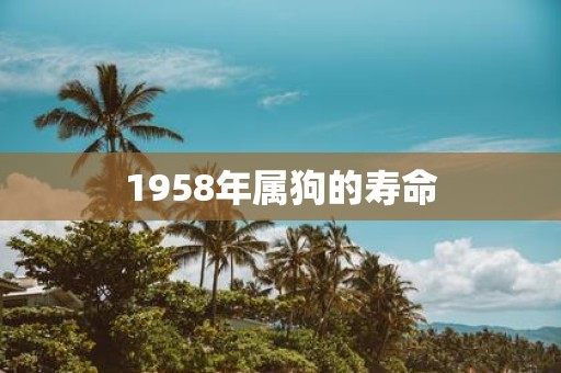1958年属狗的寿命