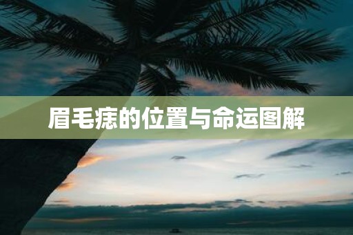 眉毛痣的位置与命运图解