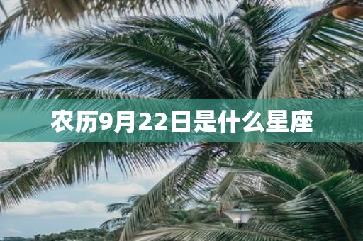 农历9月22日是什么星座