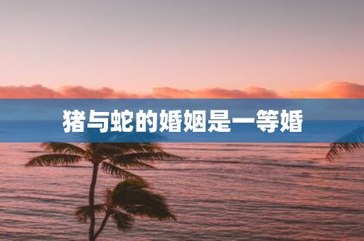 猪与蛇的婚姻是一等婚