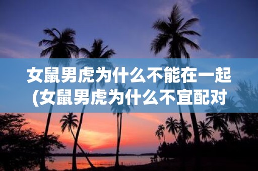 女鼠男虎为什么不能在一起(女鼠男虎为什么不宜配对？)