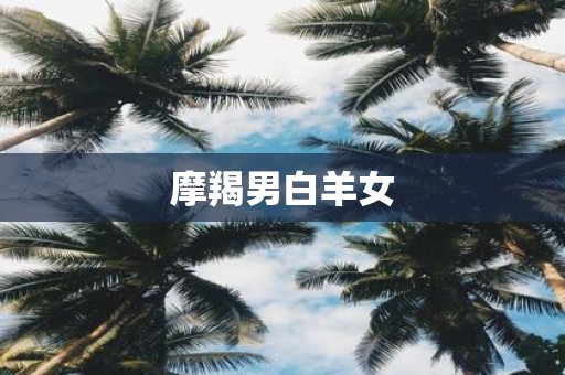 摩羯男白羊女