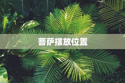 菩萨摆放位置