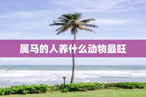 属马的人养什么动物最旺